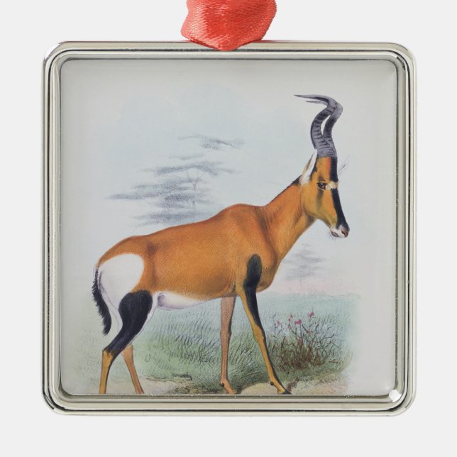 Antelope, from 'The Book of Antelopes', Metal Ornament (Front)