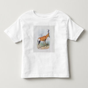 Antelope, from 'The Book of Antelopes', Toddler T-shirt