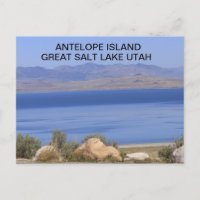 Antelope Island Great Salt Lake in Utah Carte post