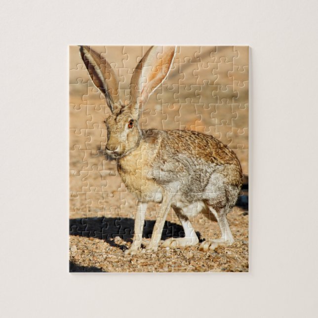 Antelope jackrabbit portrait, Arizona Jigsaw Puzzle (Vertical)