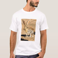 Antelope jackrabbit portrait, Arizona