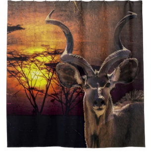 Antelope Sunset Photo Collage