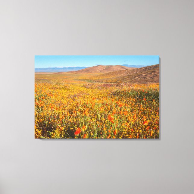 Antelope Valley Canvas Print (Front)