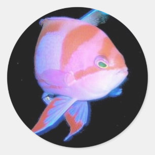 Anthias Classic Round Sticker
