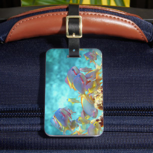 Anthias - Colourful school of fish at coral reef Luggage Tag