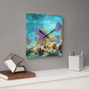 Anthias - Colourful school of fish at coral reef Square Wall Clock
