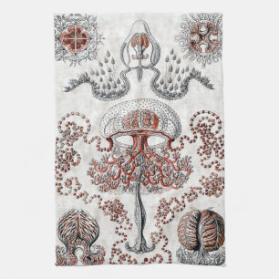 Anthomedusae MoJo Kitchen Towels