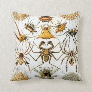 Anthropology Comfort Throw Pillow