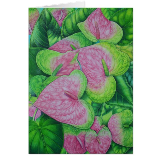 Anthures d'Obake (Devant)