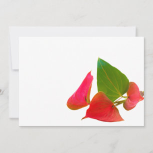 Anthurium flower