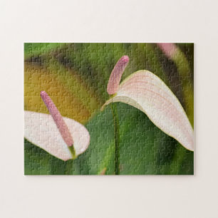 Anthurium flowers jigsaw puzzle