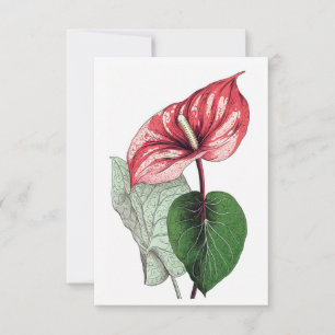 Anthurium Tropical Flower Blank Thank You Card
