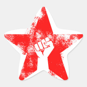 Anti-Fascist Star Sticker