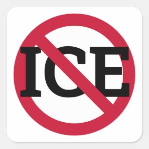 Anti ICE Sticker