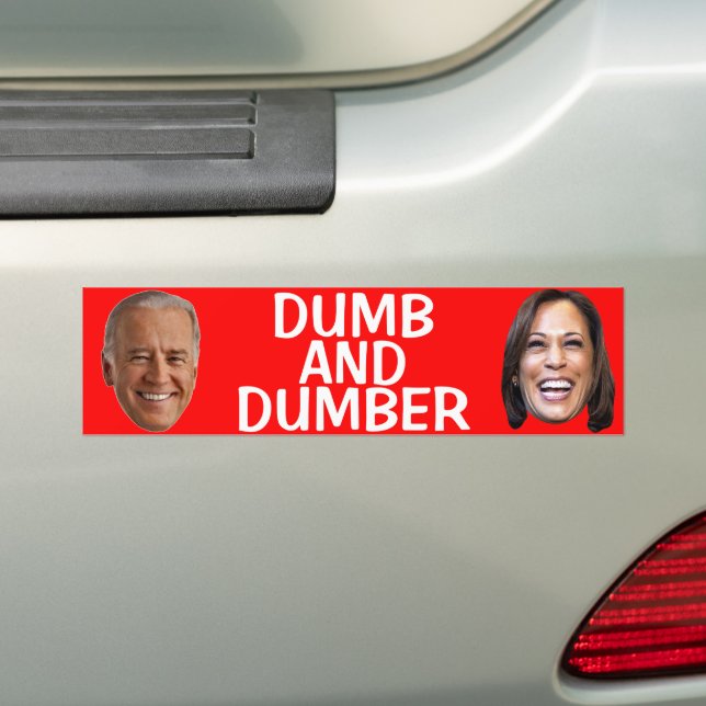 ANTI JOE BIDEN TRUMP 2020 BUMPER STICKER (On Car)
