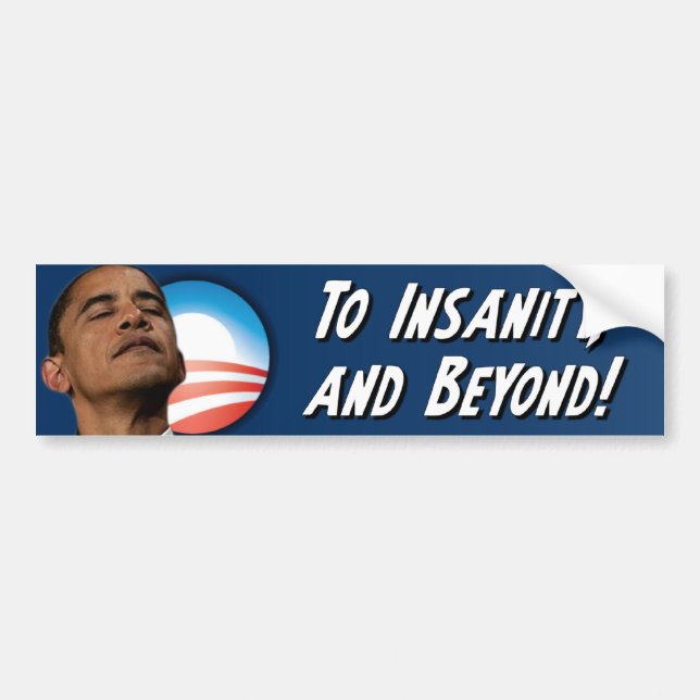 Anti Obama - Insanity Bumper Sticker (Front)