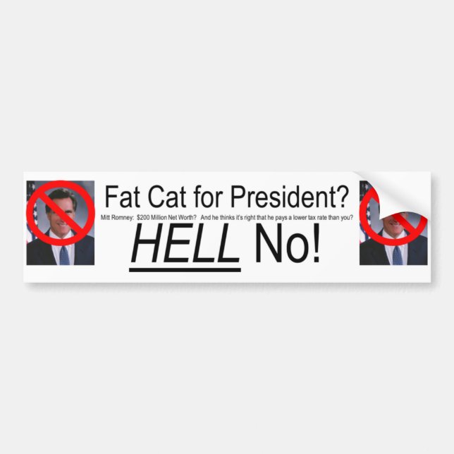 Anti Romney Bumper Sticker (Front)