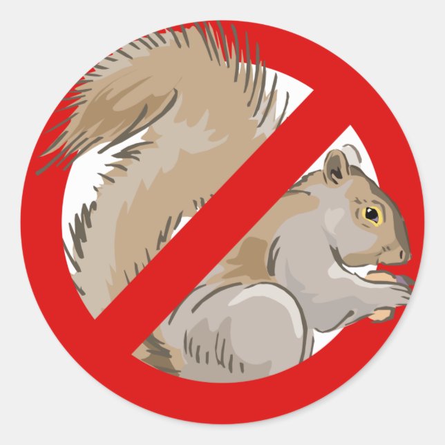 Anti-Squirrel Classic Round Sticker (Front)