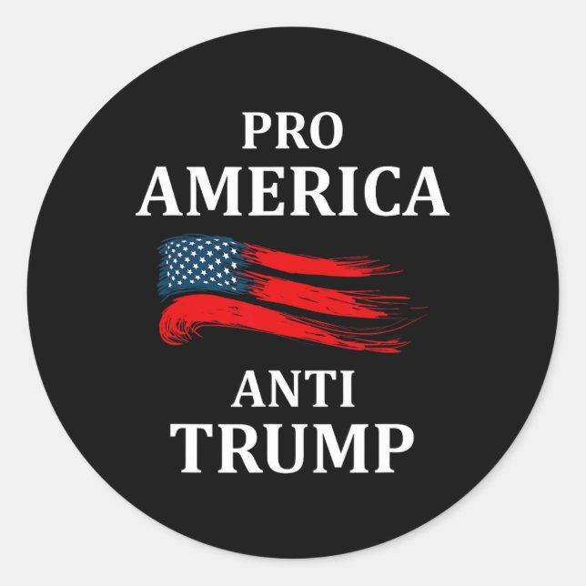 Anti-trump Anti Trump 2024 American Usa Flag  Classic Round Sticker (Front)
