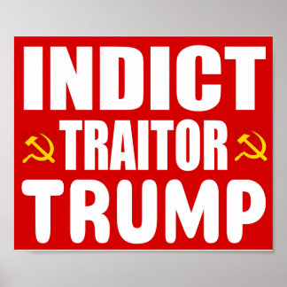 Anti Trump Protest Poster