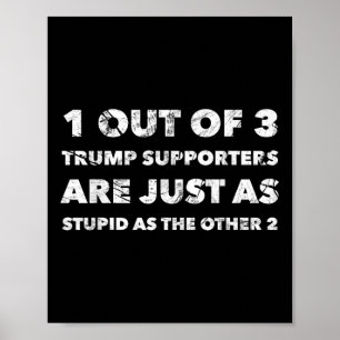 Anti-trump Trump Supporters Are Just Stupid Poster
