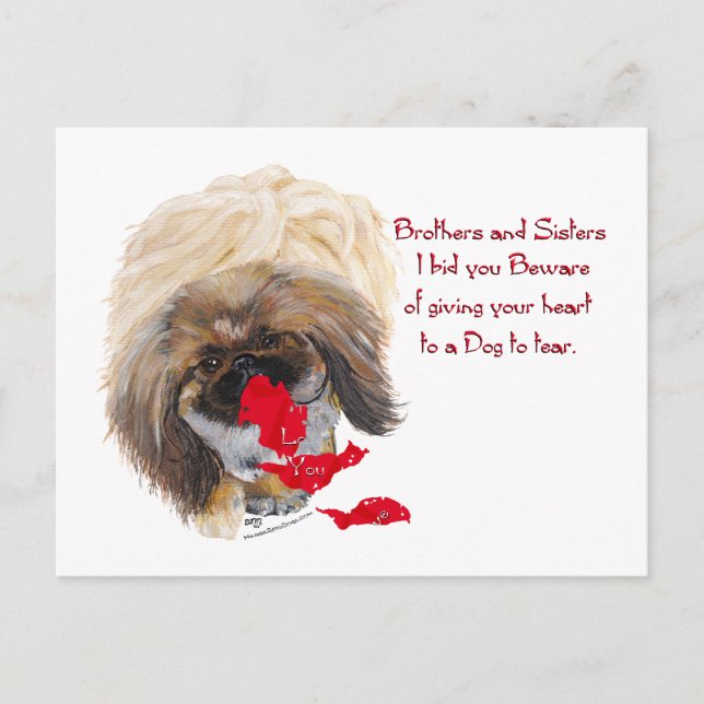 Anti Valentine Pekingese Holiday Postcard (Front)