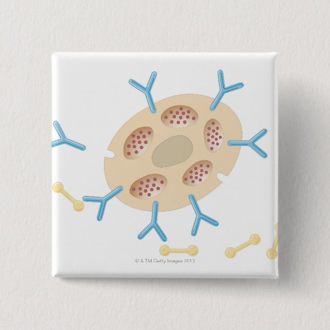 Antibodies Binding to Mast Cell 2 Inch Square Button (Front)