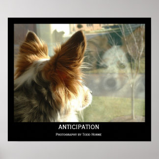 Anticipation Poster