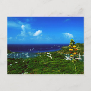 Antigua Sailboat races Postcard