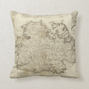 Antigua Throw Pillow