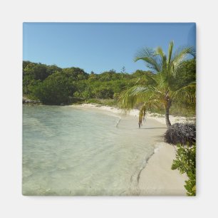 Antiguan Beach Beautiful Tropical Landscape Magnet