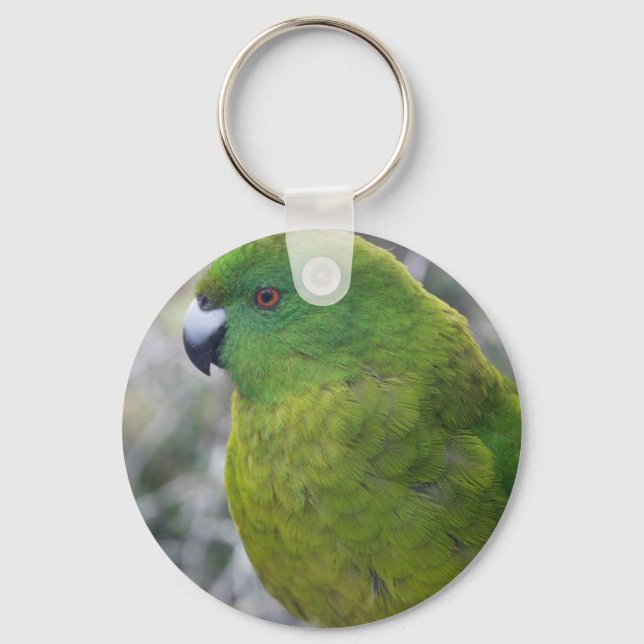 Antipodes Island Parakeet Keychain (Front)