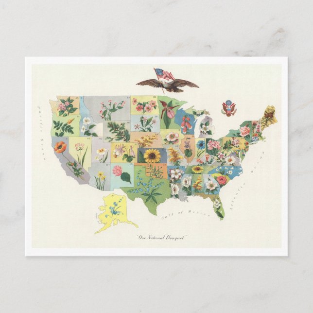 Antique 1911 USA State Flowers Map Postcard (Front)