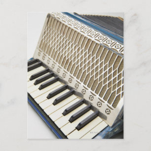 Antique Accordion Keyboard Postcard
