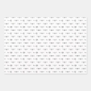 Antique Airplanes Aviation Art CUSTOM COLOR Wrapping Paper Sheet