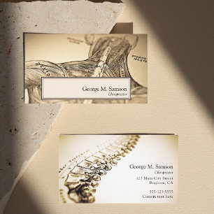 Antique anatomical illustration chiropractor  business card