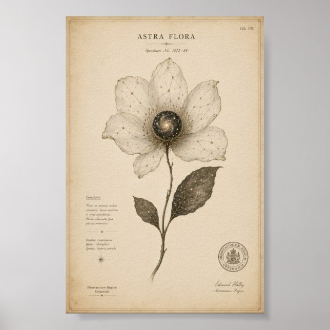Antique Astronomy Flower Wall Art (Front)