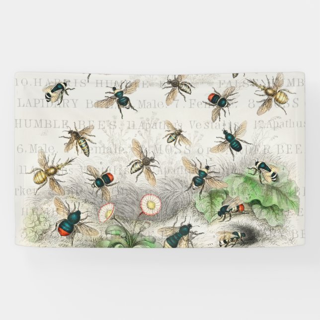 Antique Bee Honey Worker Queen Bees Vintage Banner (Horizontal)