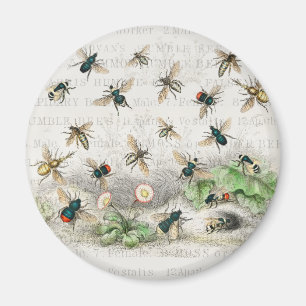 Antique Bee Honey Worker Queen Bees Vintage Magnet