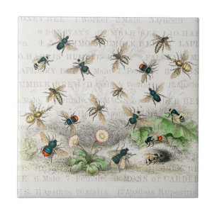 Antique Bee Honey Worker Queen Bees Vintage Tile