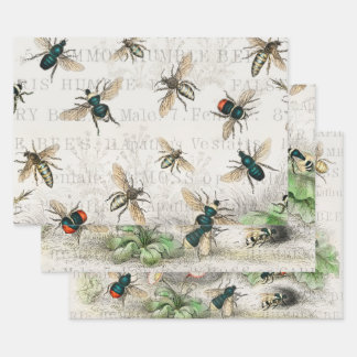 Antique Bee Honey Worker Queen Bees Vintage Wrapping Paper Sheet