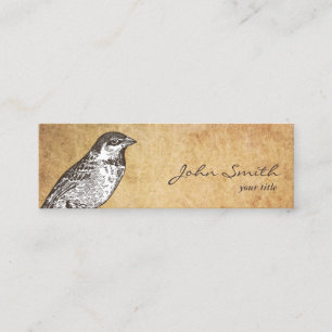 Antique Bird Calling Card mini Business Cards