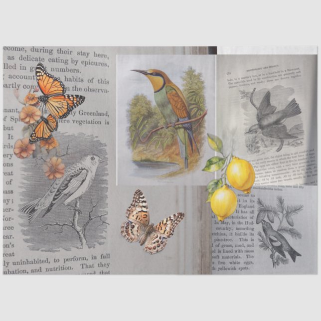 Antique Birds and Butterflies Decoupage Tissue Paper (Front)