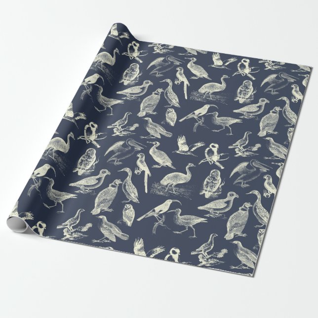Antique Birds Illustrations Engravings Cream Navy Wrapping Paper (Unrolled)