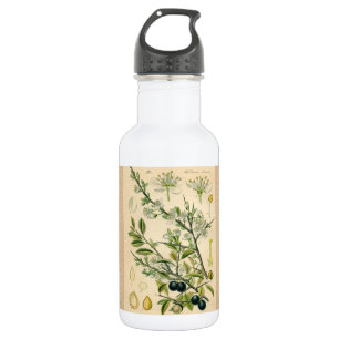 Antique Blackthorn Botanical Print Flower Berry 532 Ml Water Bottle