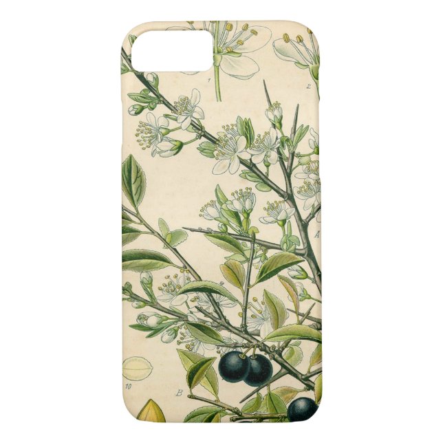 Antique Blackthorn Botanical Print Flower Berry Case-Mate iPhone Case (Back)