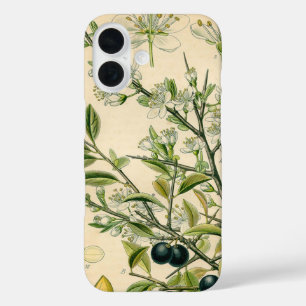 Antique Blackthorn Botanical Print Flower Berry iPhone 16 Case