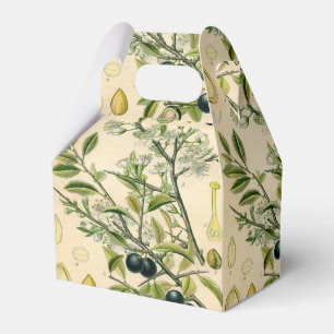 Antique Blackthorn Botanical Print Flower Berry Favor Box