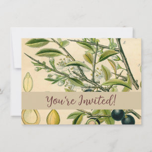 Antique Blackthorn Botanical Print Flower Berry Invitation