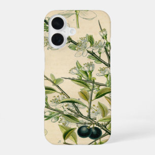 Antique Blackthorn Botanical Print Flower Berry iPhone 16 Case